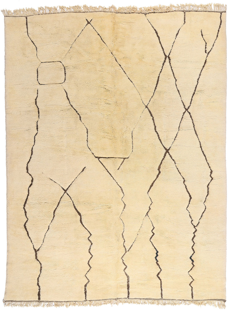 10 x 13 - Organic Modern Beni Mrirt Moroccan Rug - 21644