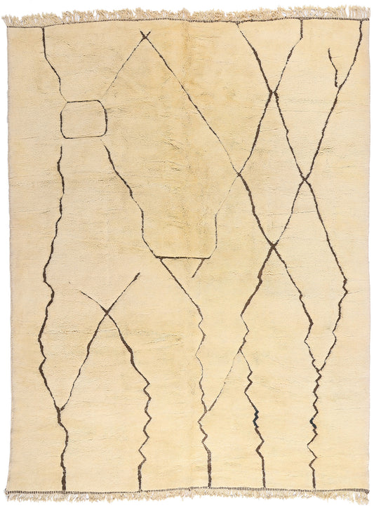 10 x 13 - Organic Modern Beni Mrirt Moroccan Rug - 21644