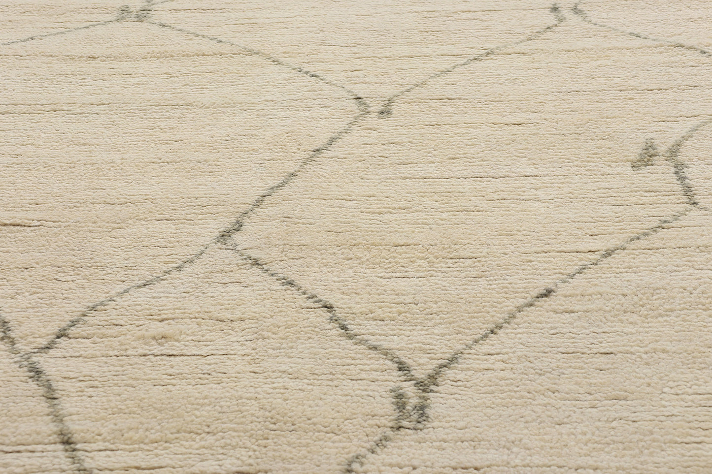 9 x 12 Biophilic Echoes Organic Modern Moroccan Rug 31291