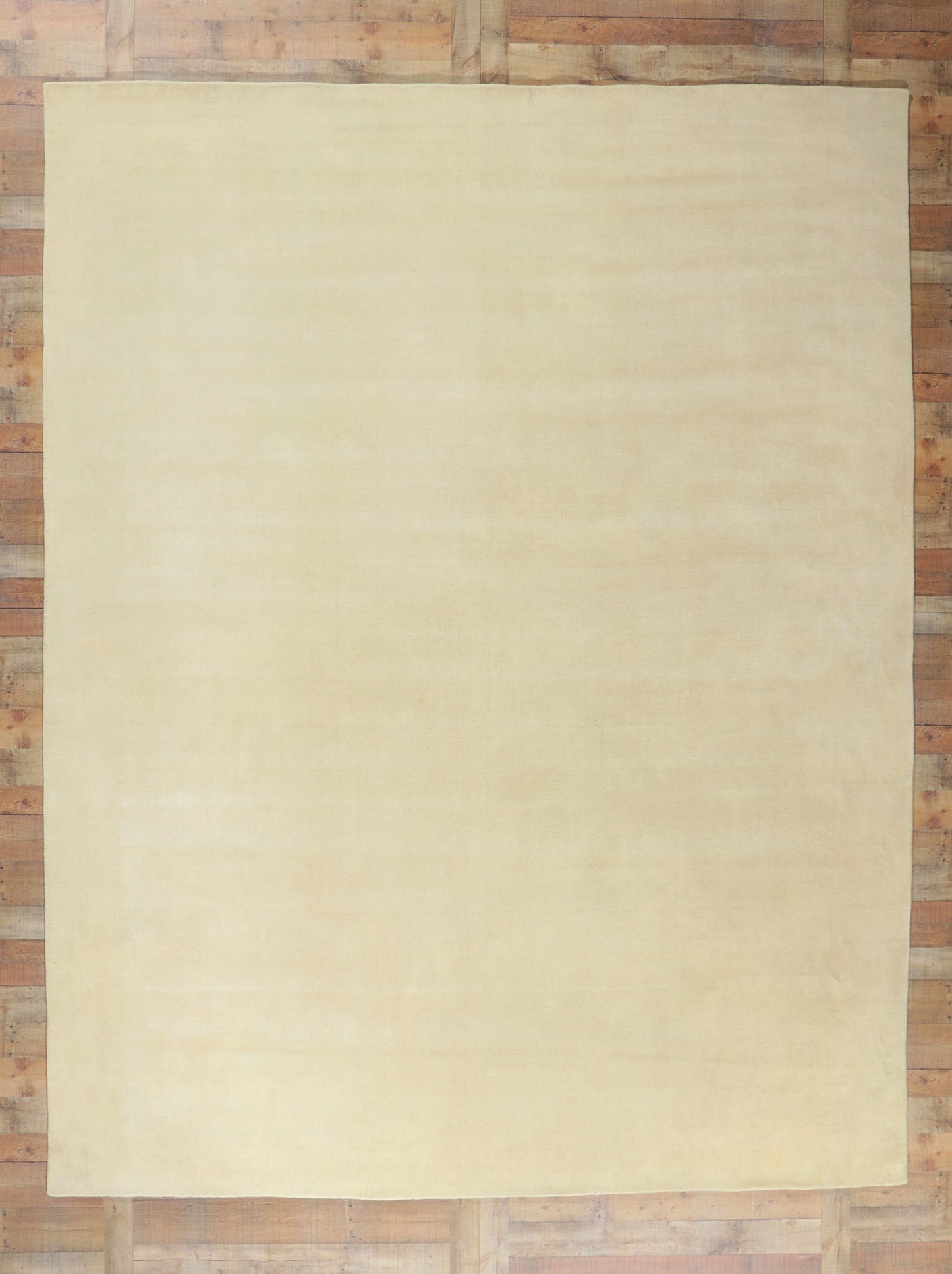10 x 13 Contemporary Ivory Area Rug 30751