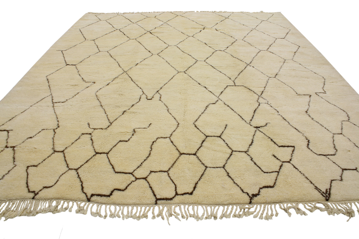 10 x 12 Moroccan Rug 20339