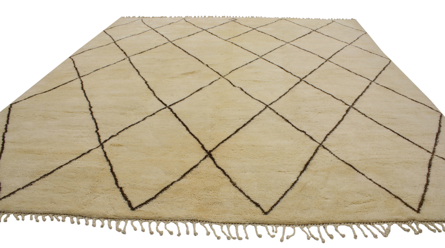 11 x 13 Moroccan Rug 20341