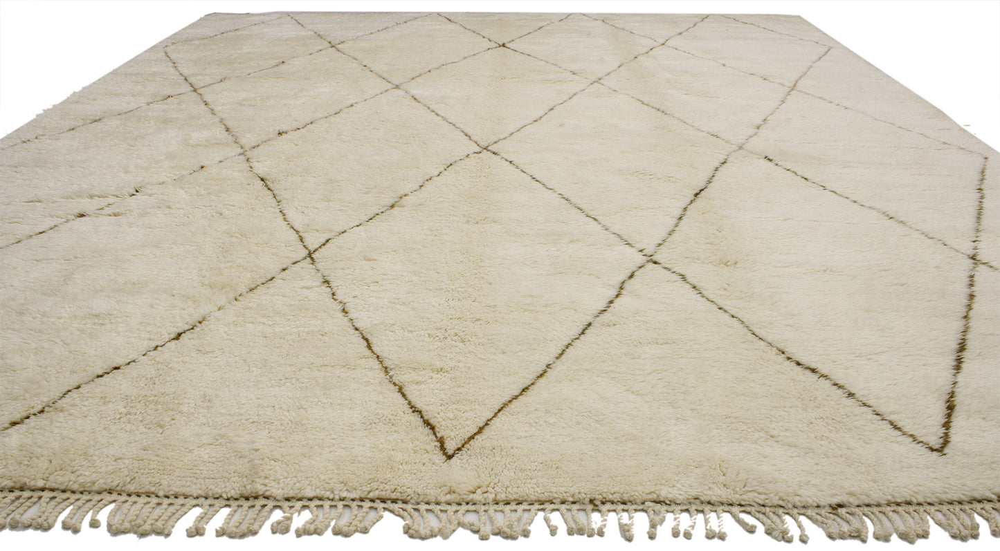 11 x 14 Moroccan Rug 20529