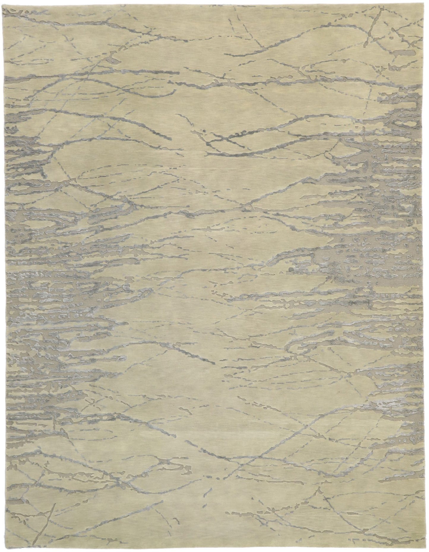 9 x 12 Contemporary Indian Transitional Rug 30242