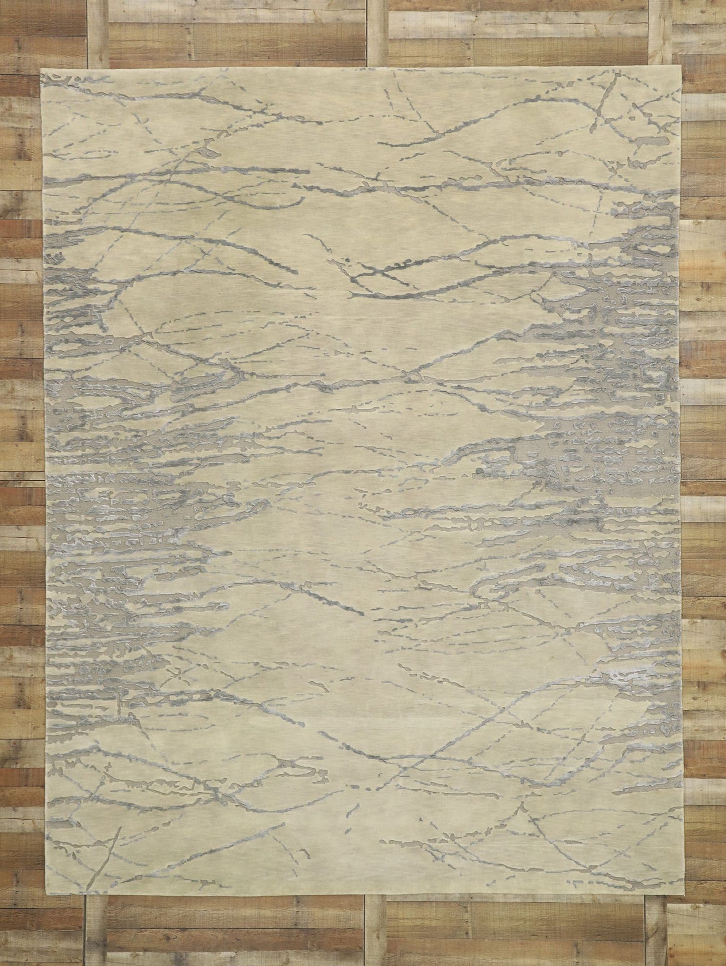 9 x 12 Contemporary Indian Transitional Rug 30242