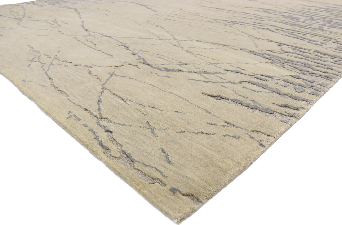 9 x 12 Contemporary Indian Transitional Rug 30242