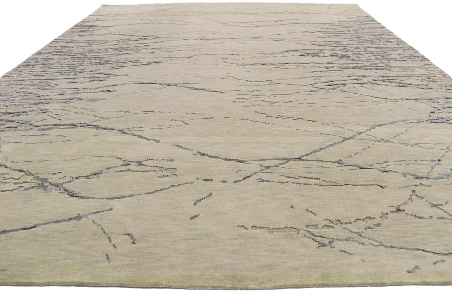 9 x 12 Contemporary Indian Transitional Rug 30242
