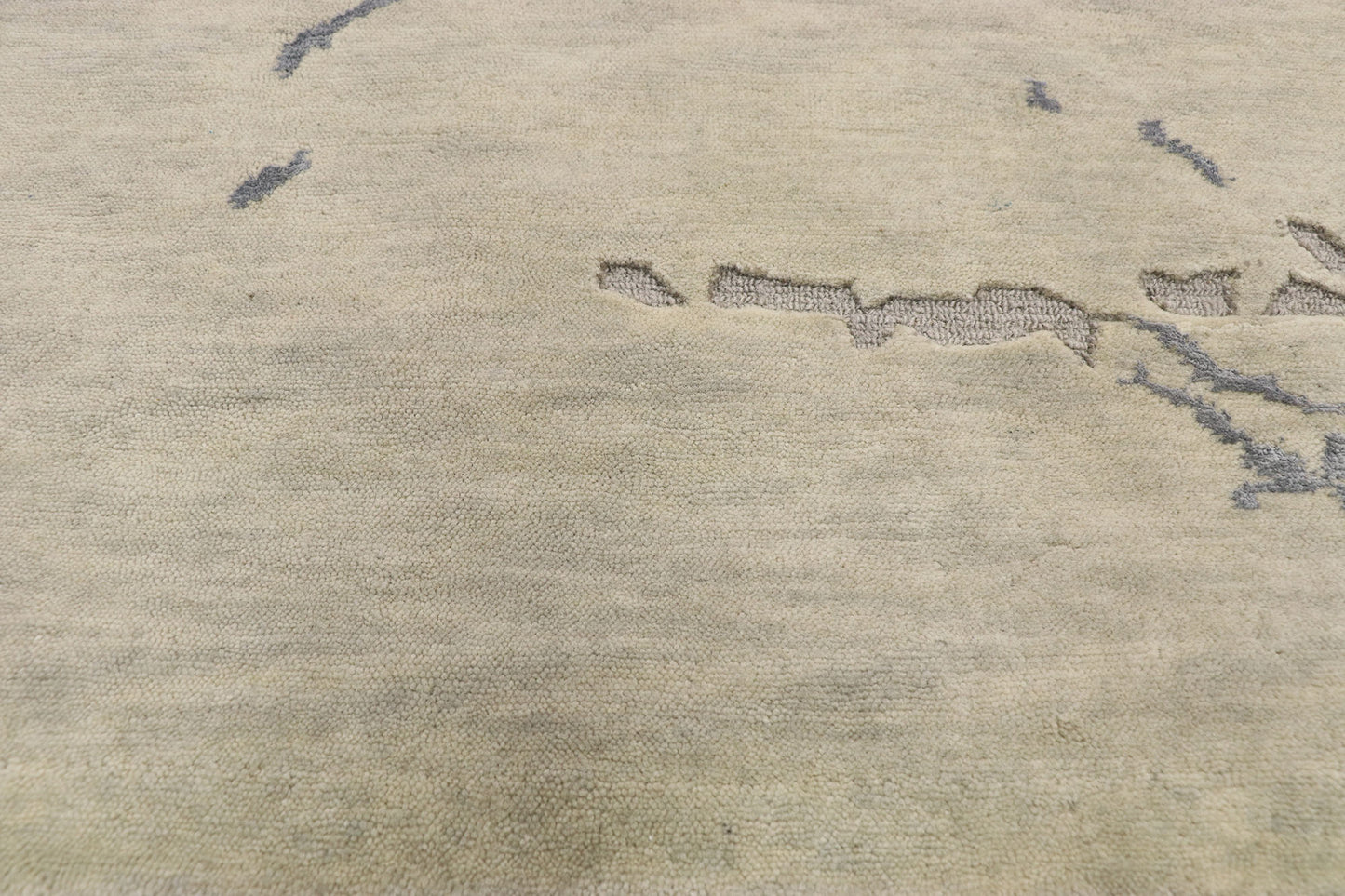9 x 12 Contemporary Indian Transitional Rug 30242