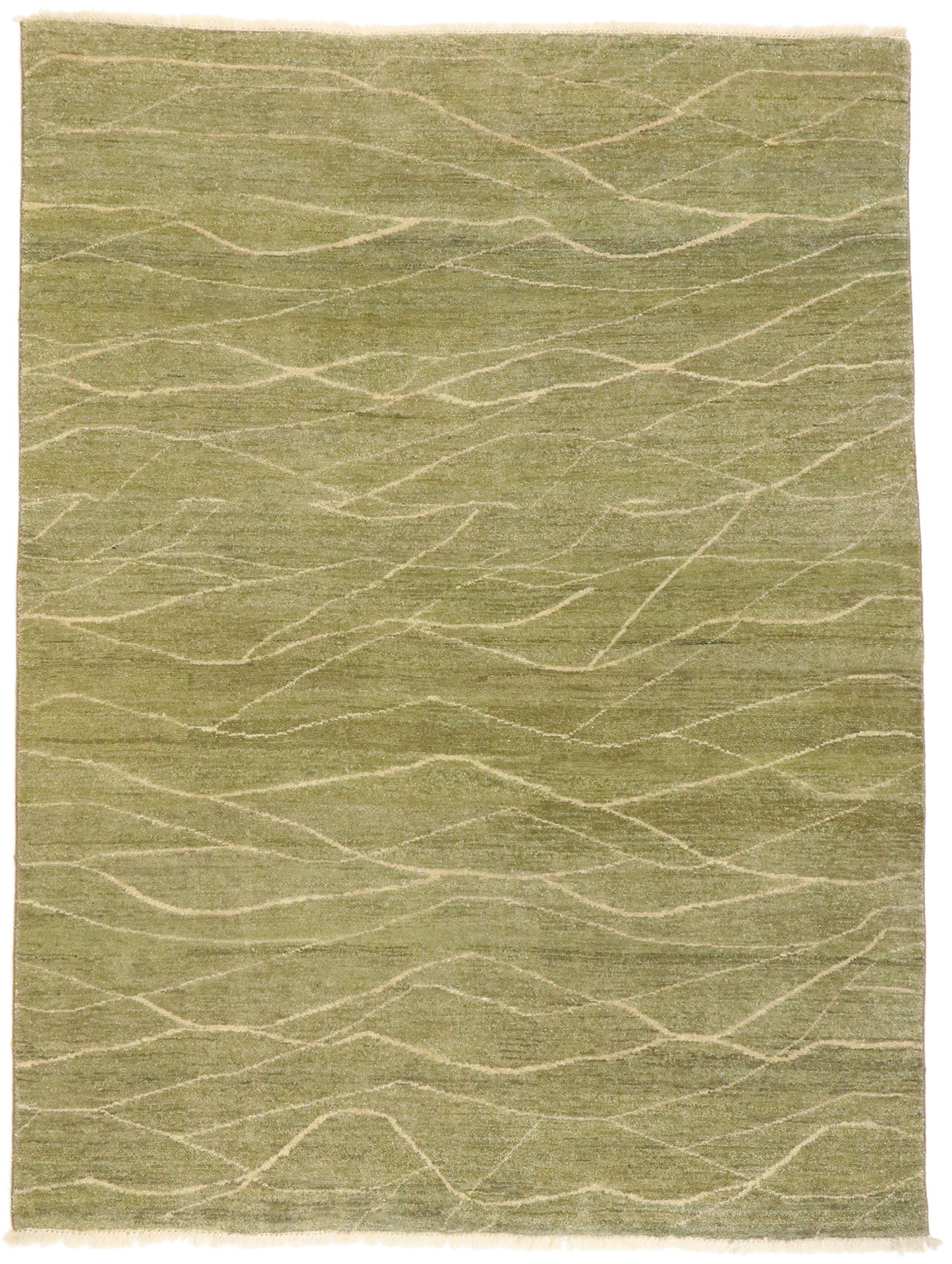 4 x 6 Transitional Indian Rug 30287