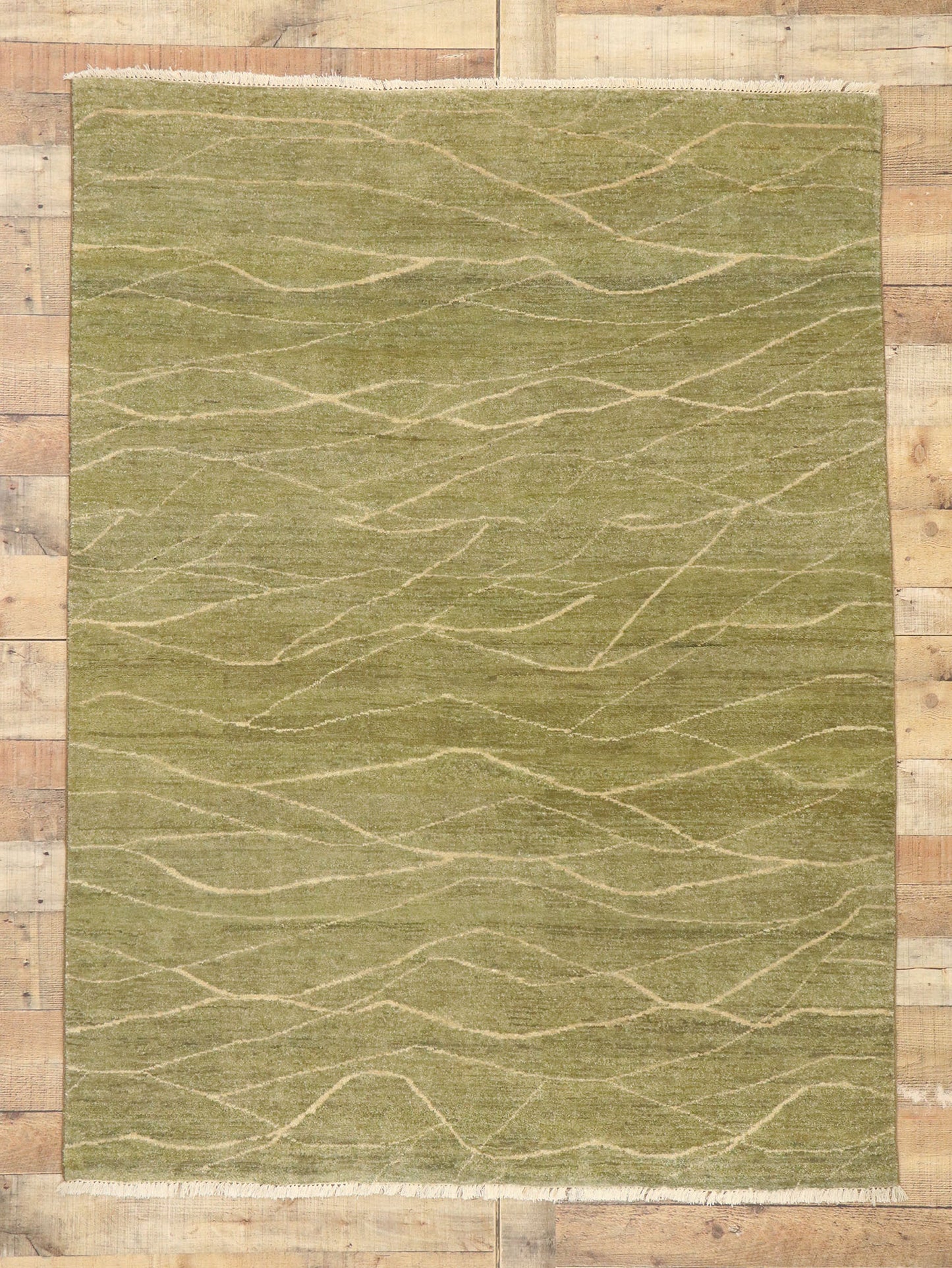 4 x 6 Transitional Indian Rug 30287