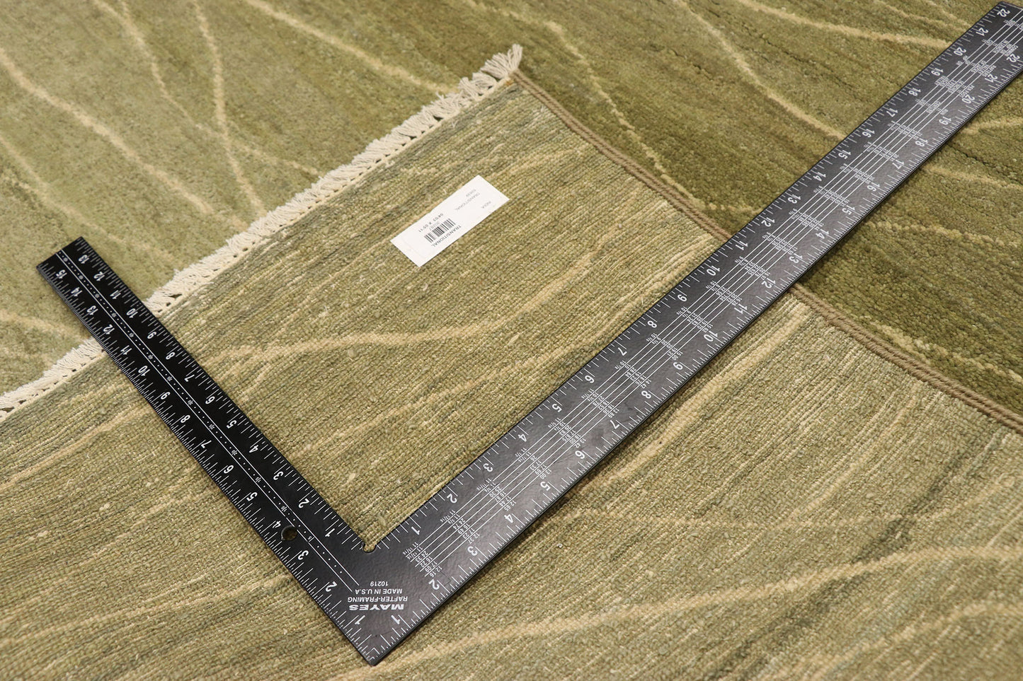 4 x 6 Transitional Indian Rug 30287