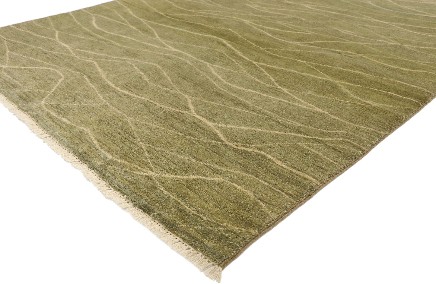 4 x 6 Transitional Indian Rug 30287