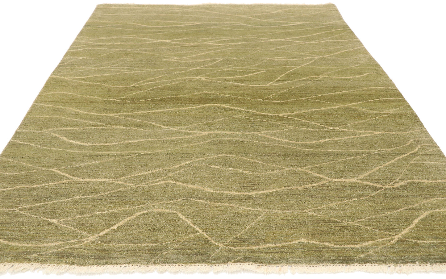 4 x 6 Transitional Indian Rug 30287