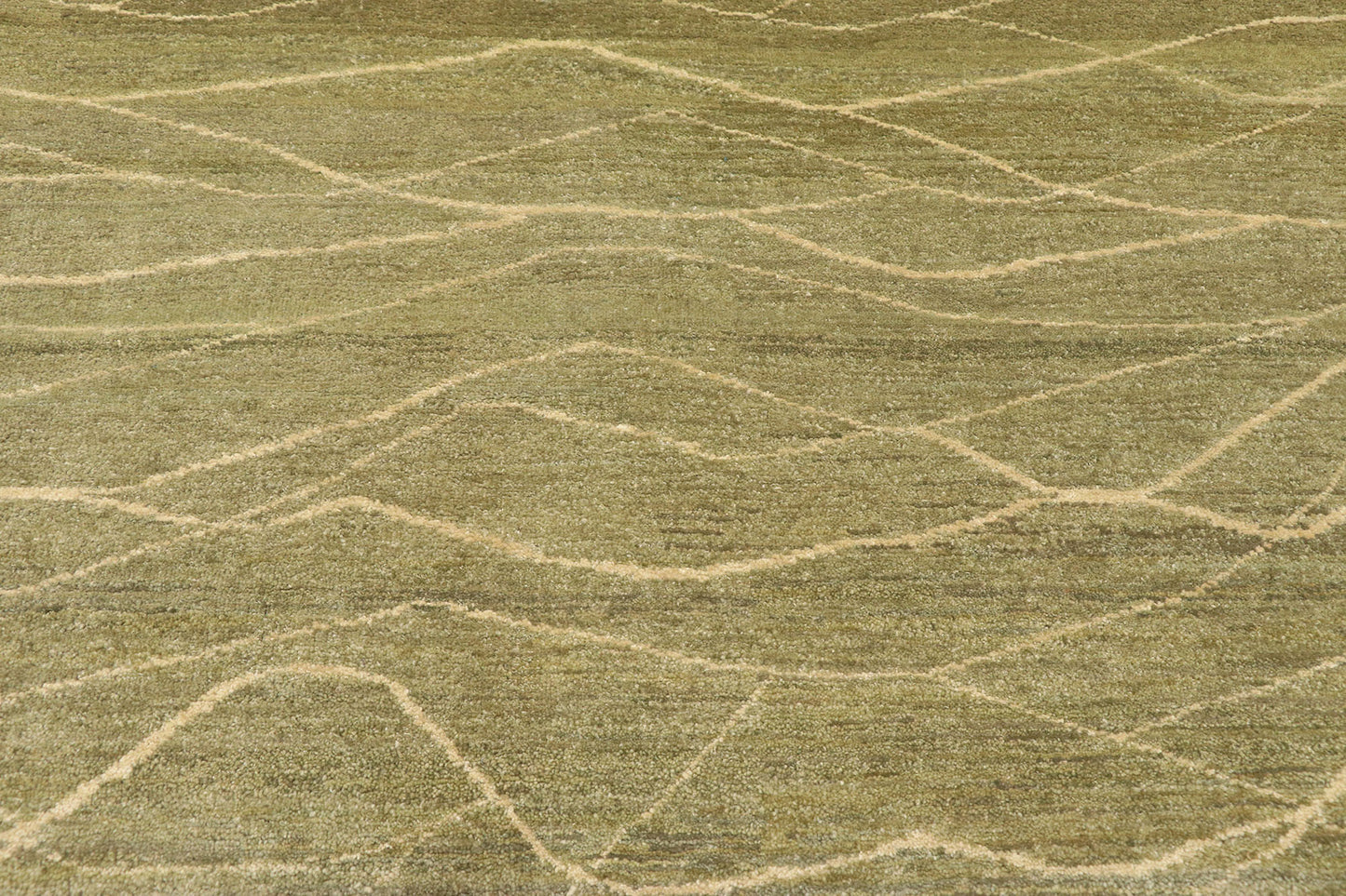 4 x 6 Transitional Indian Rug 30287