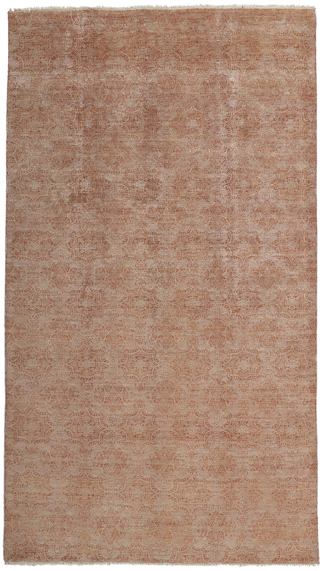 6 x 11 Transitional Talavera Rug 30280
