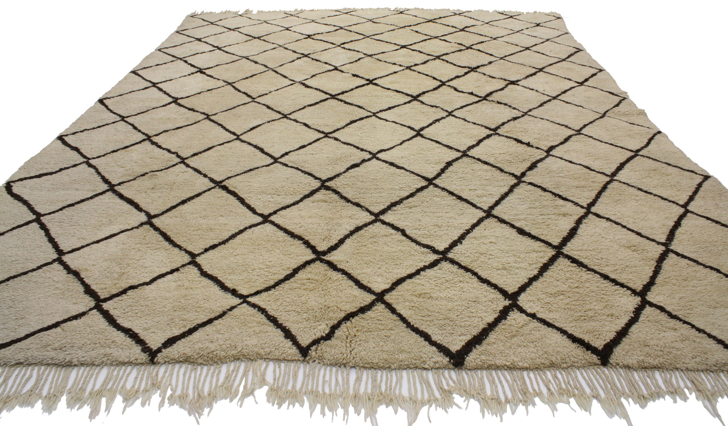 10 x 13 Moroccan Rug 74379