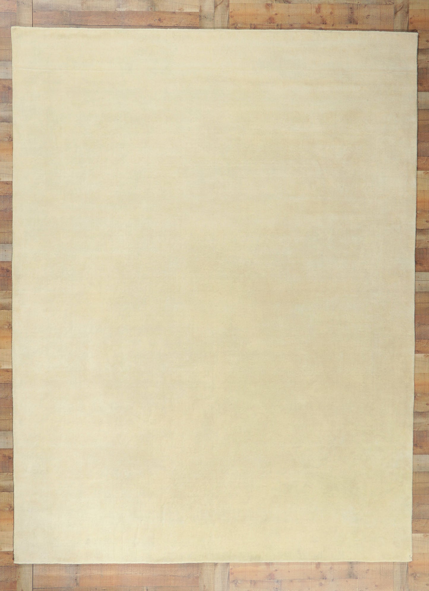 9 x 12 Contemporary Ivory Area Rug 30756