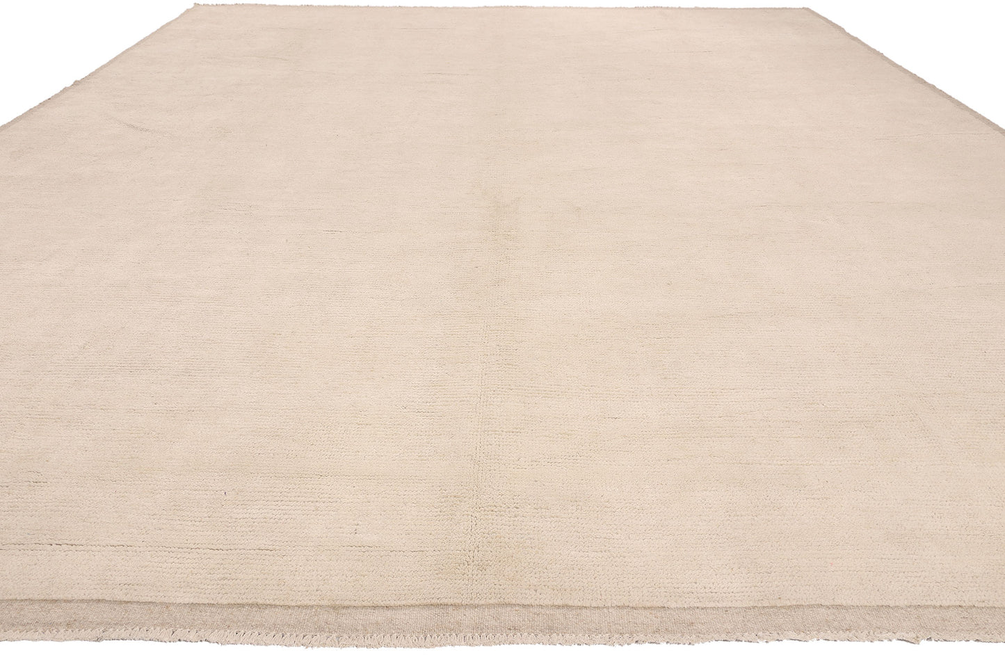 10 x 14 Organic Modern Moroccan Minimalist Rug 81067