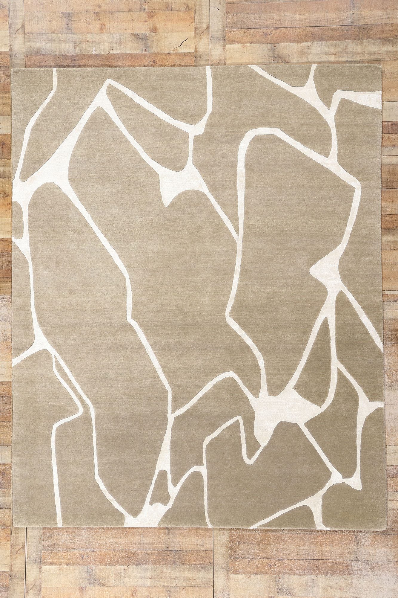 8 x 10 Organic Modern Contemporary Abstract Rug 31019