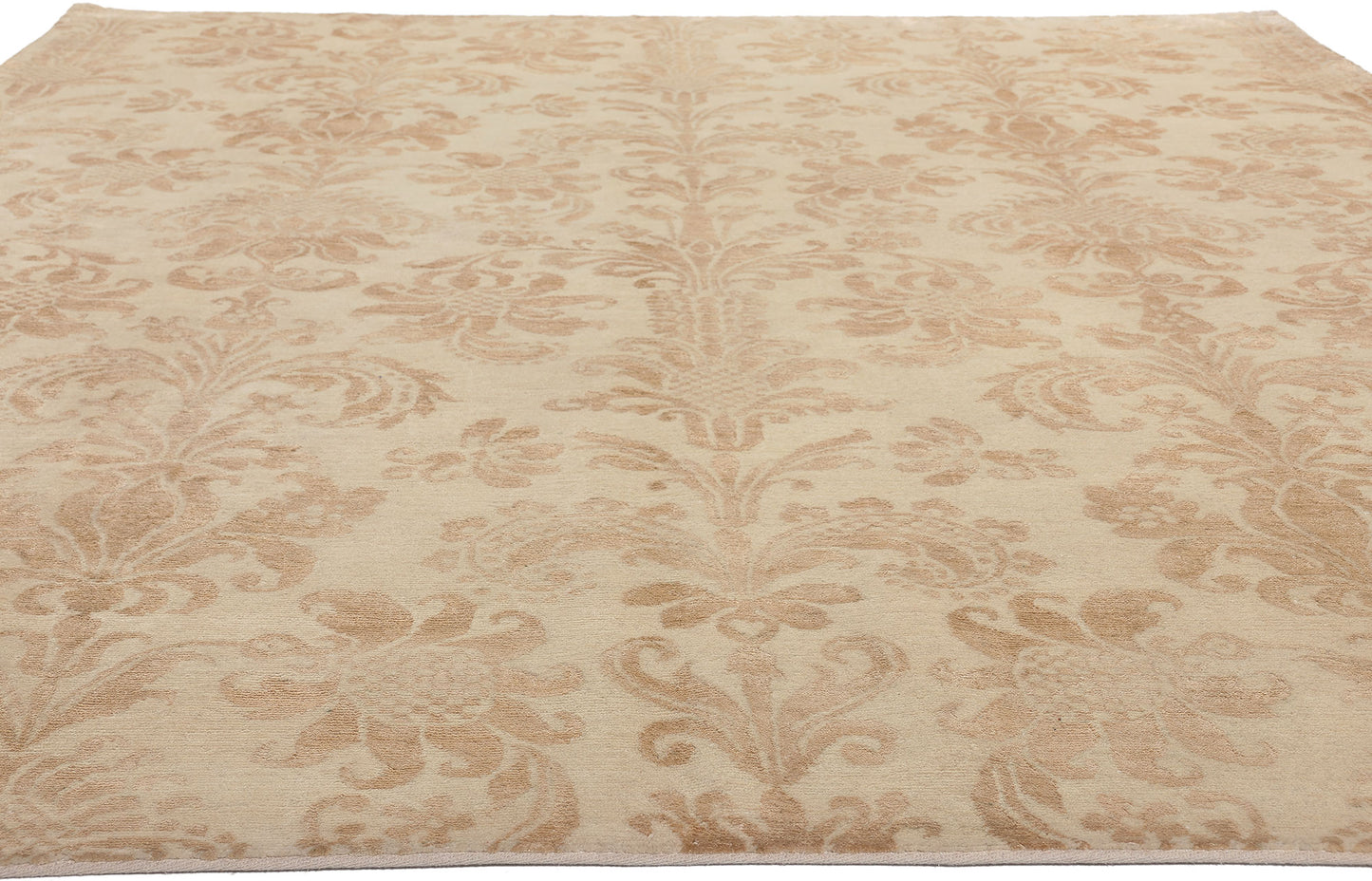 8 x 10 Transitional Indian Rug 30233