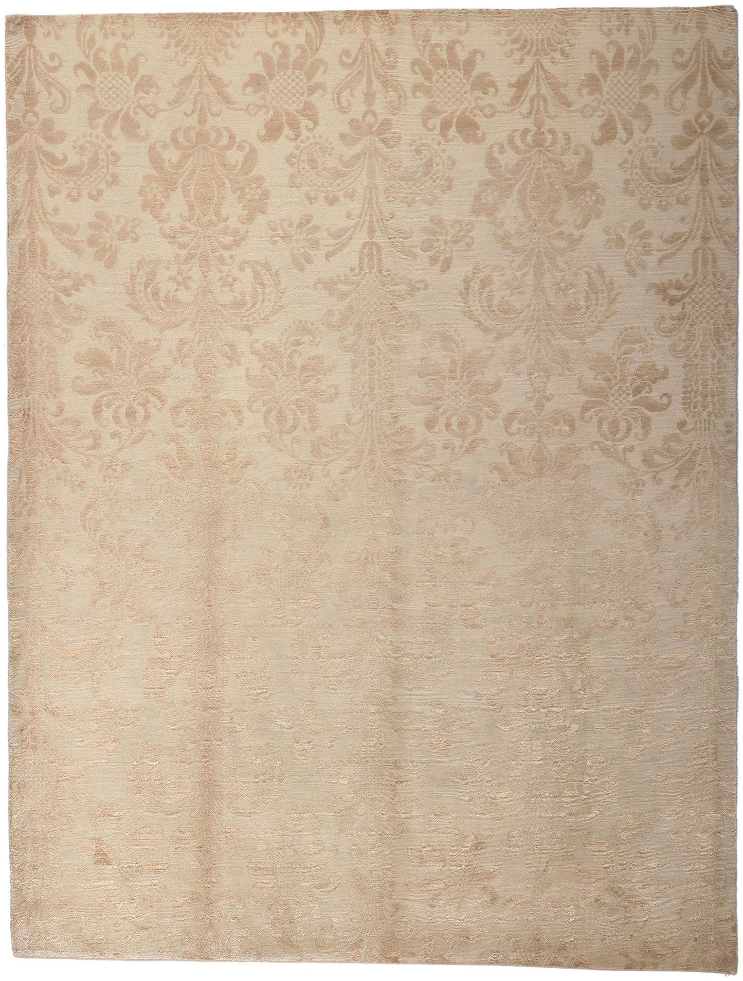 8 x 10 Transitional Indian Rug 30233