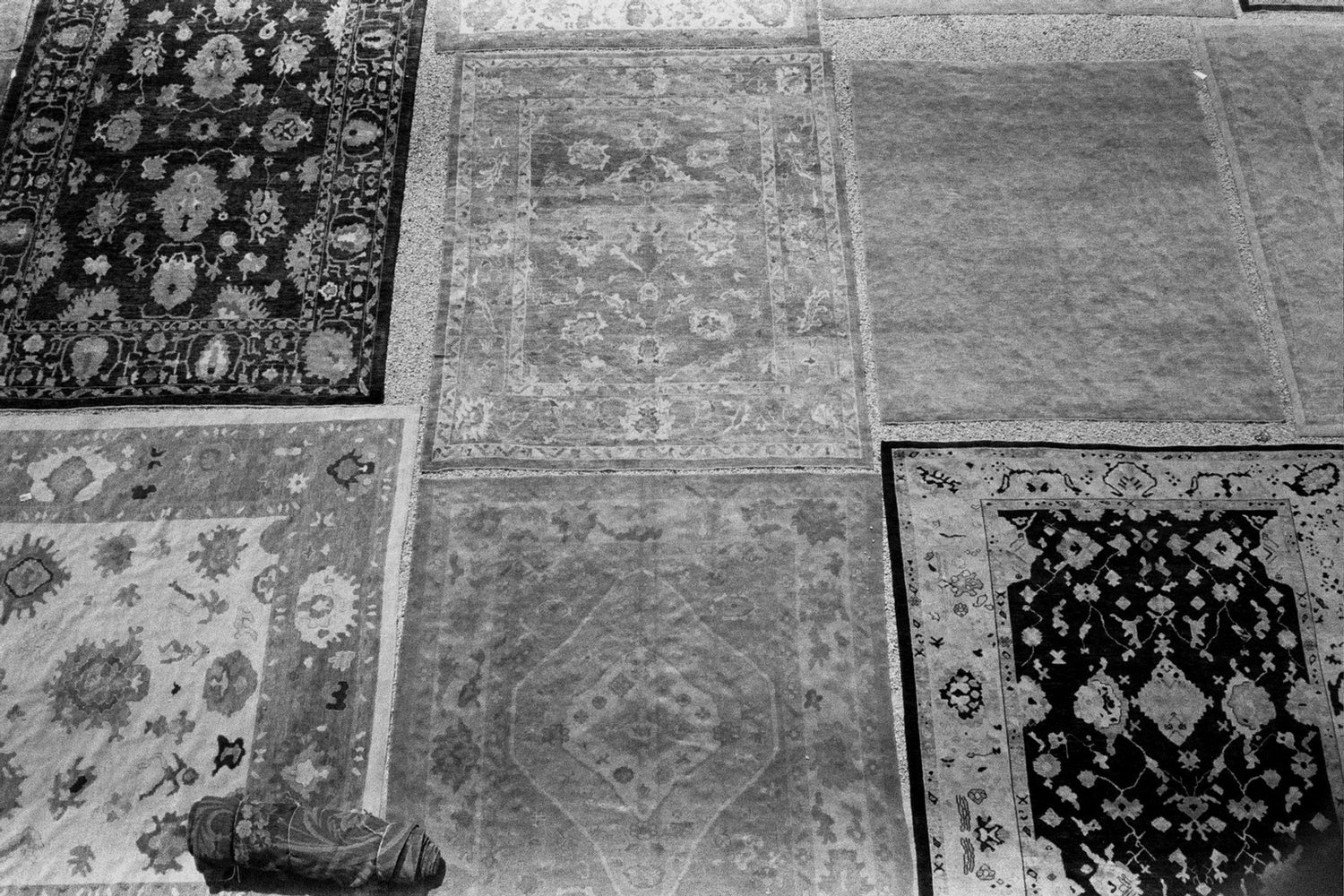 Rugs laid out in the showroom