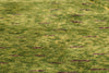 7 x 11 - Green Moroccan Rug - 21037