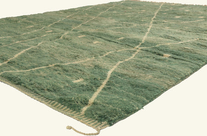 8 x 11 - Green New Beni Mrirt Moroccan Rug - 22077