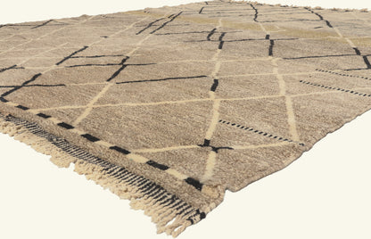 11 x 13 - Beige New Beni Mrirt Moroccan Rug - 22082