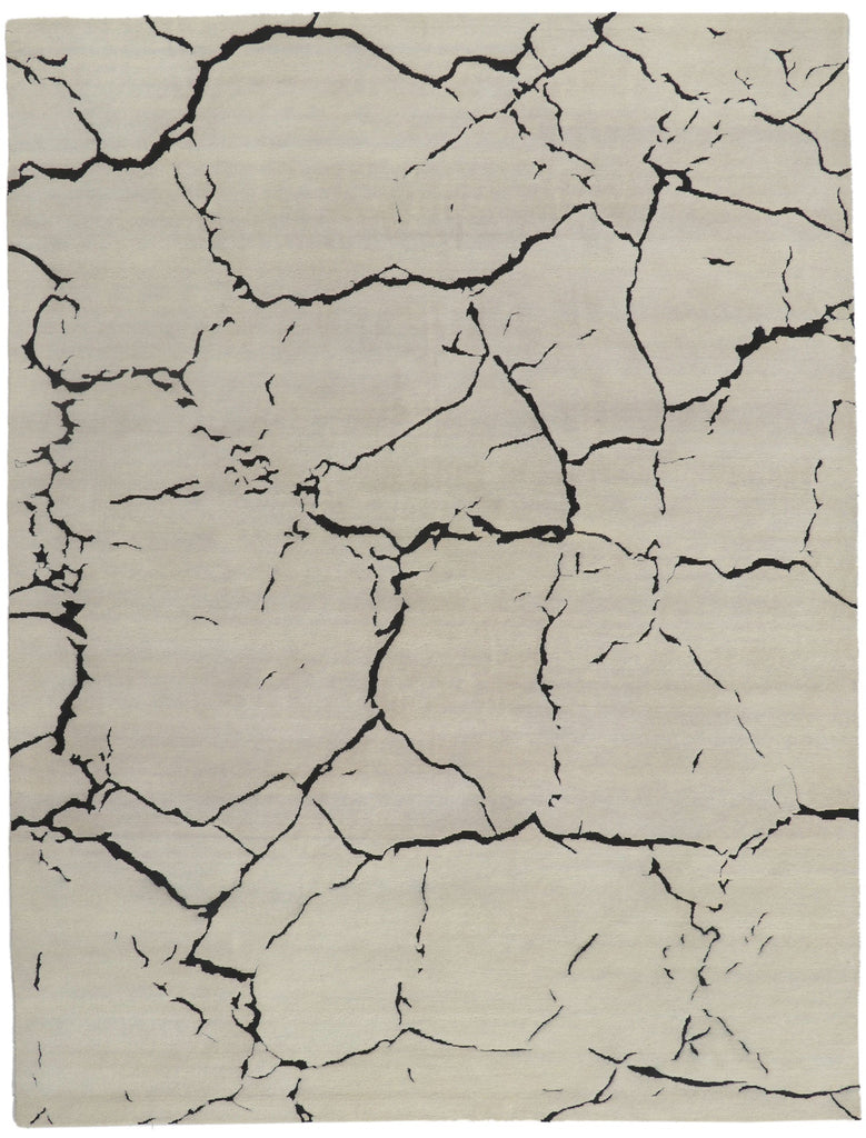 9 x 12 - Beige Indian Contemporary Rug - 30880