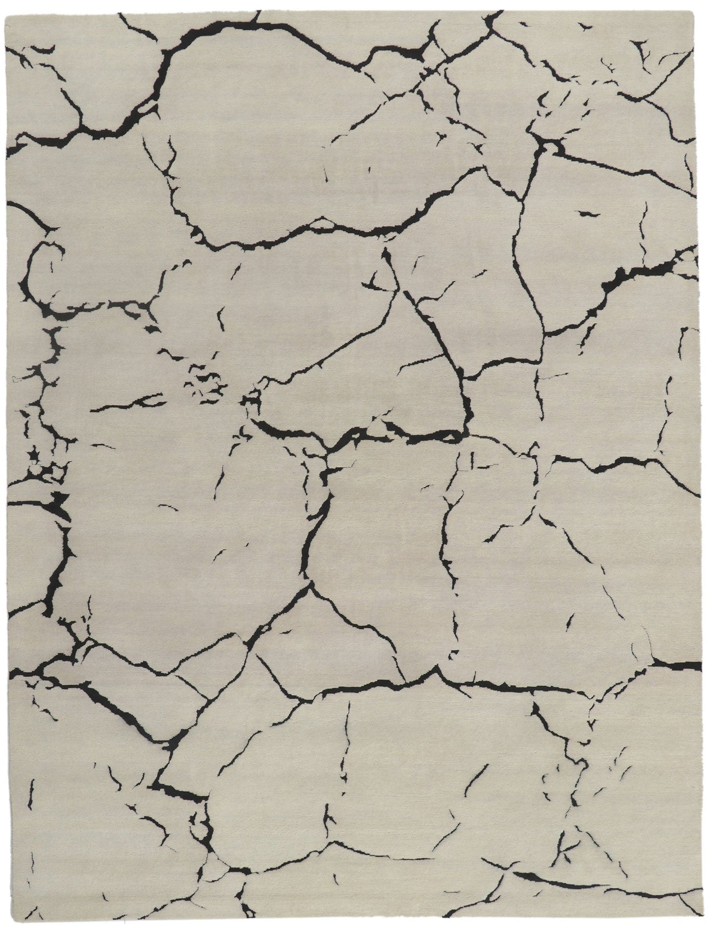 9 x 12 - Beige Indian Contemporary Rug - 30880