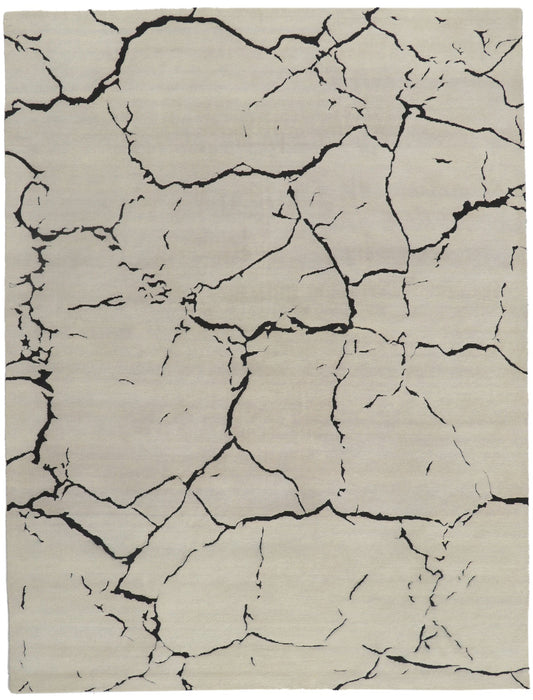 9 x 12 - Beige Indian Contemporary Rug - 30880