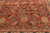 3 x 15 - Orange Antique Karabakh Rug - 61448