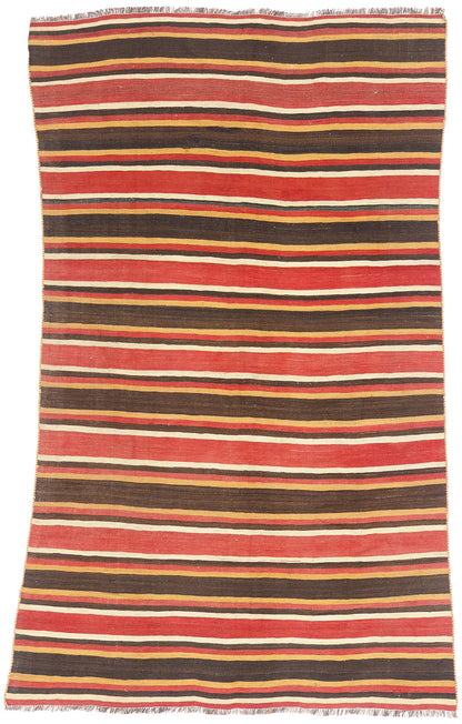 5 x 9 - Multicolor Antique Shiraz Rug - 61467