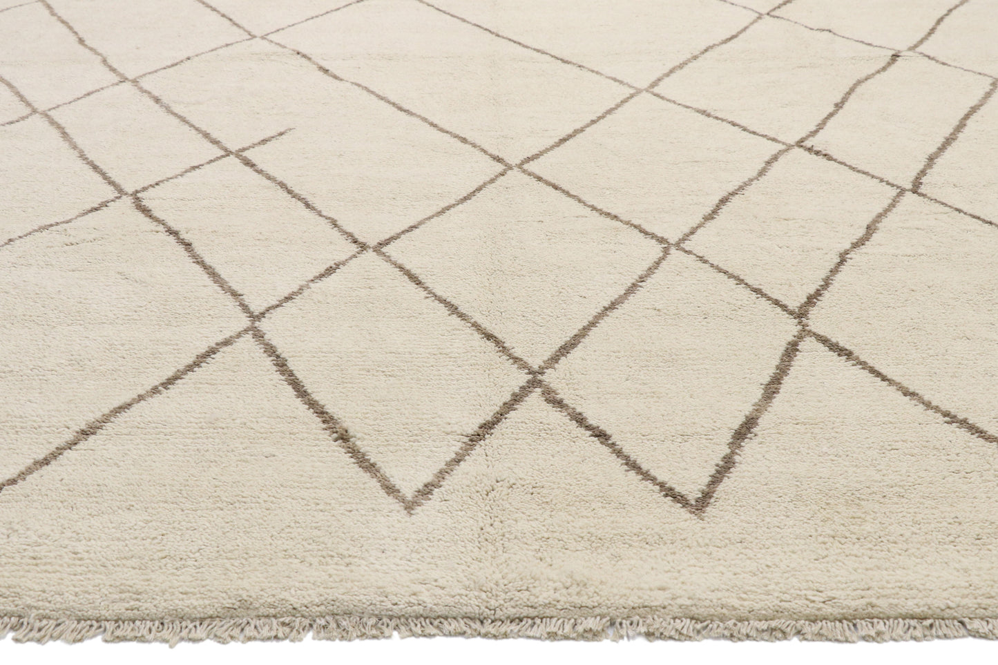 10 x 14 - Beige Pakistani Moroccan Rug - 80541