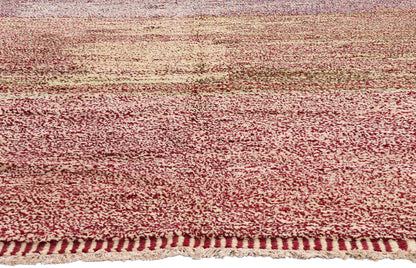 10 x 14 - Multicolor Pakistani Moroccan Rug - 80583