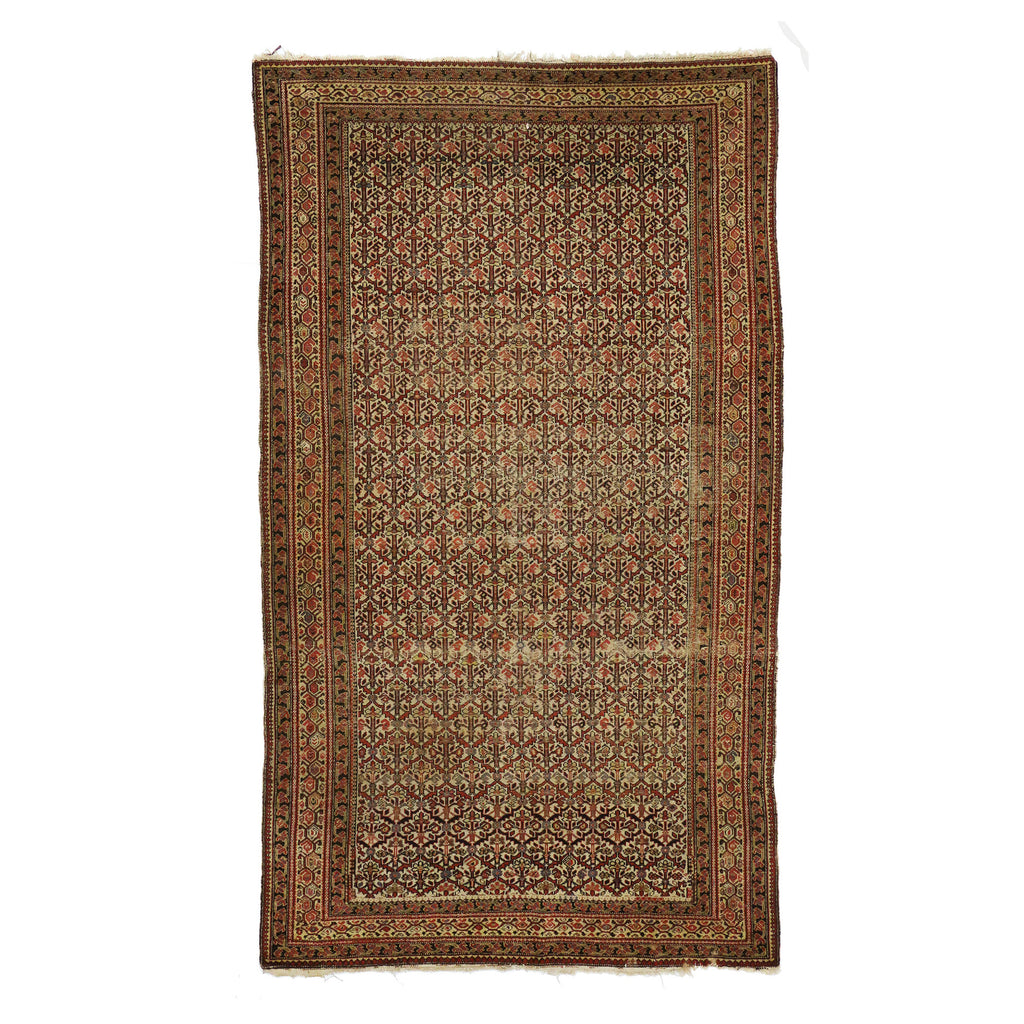 5 x 9 - Brown Antique Persian Malayer Rug - 76694