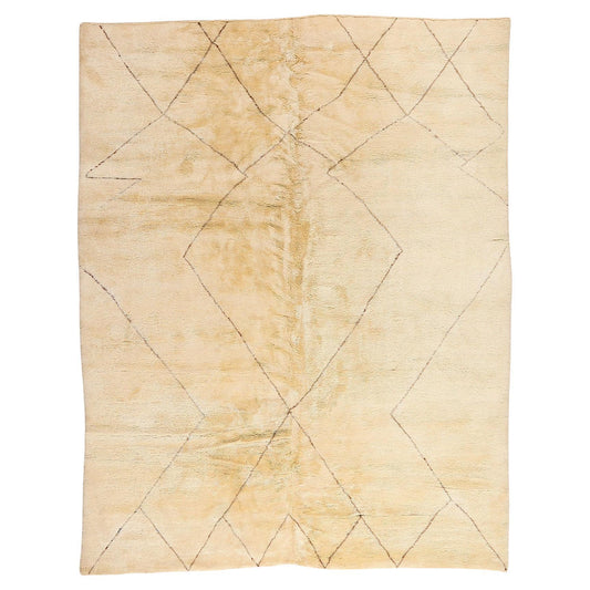 10 x 13 Organic Modern Beni Mrirt Moroccan Rug 20716