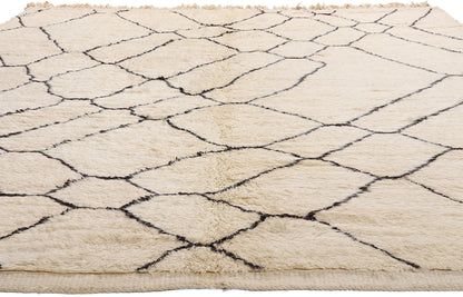 10 x 12 - Organic Modern Beni Mrirt Moroccan Rug - 21097