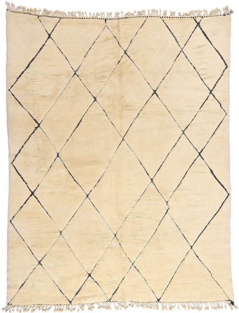 9 x 12 - Organic Modern Beni Mrirt Moroccan Rug - 21175