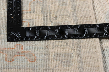 10 x 14 Organic Modern Sultanabad Rug 81123