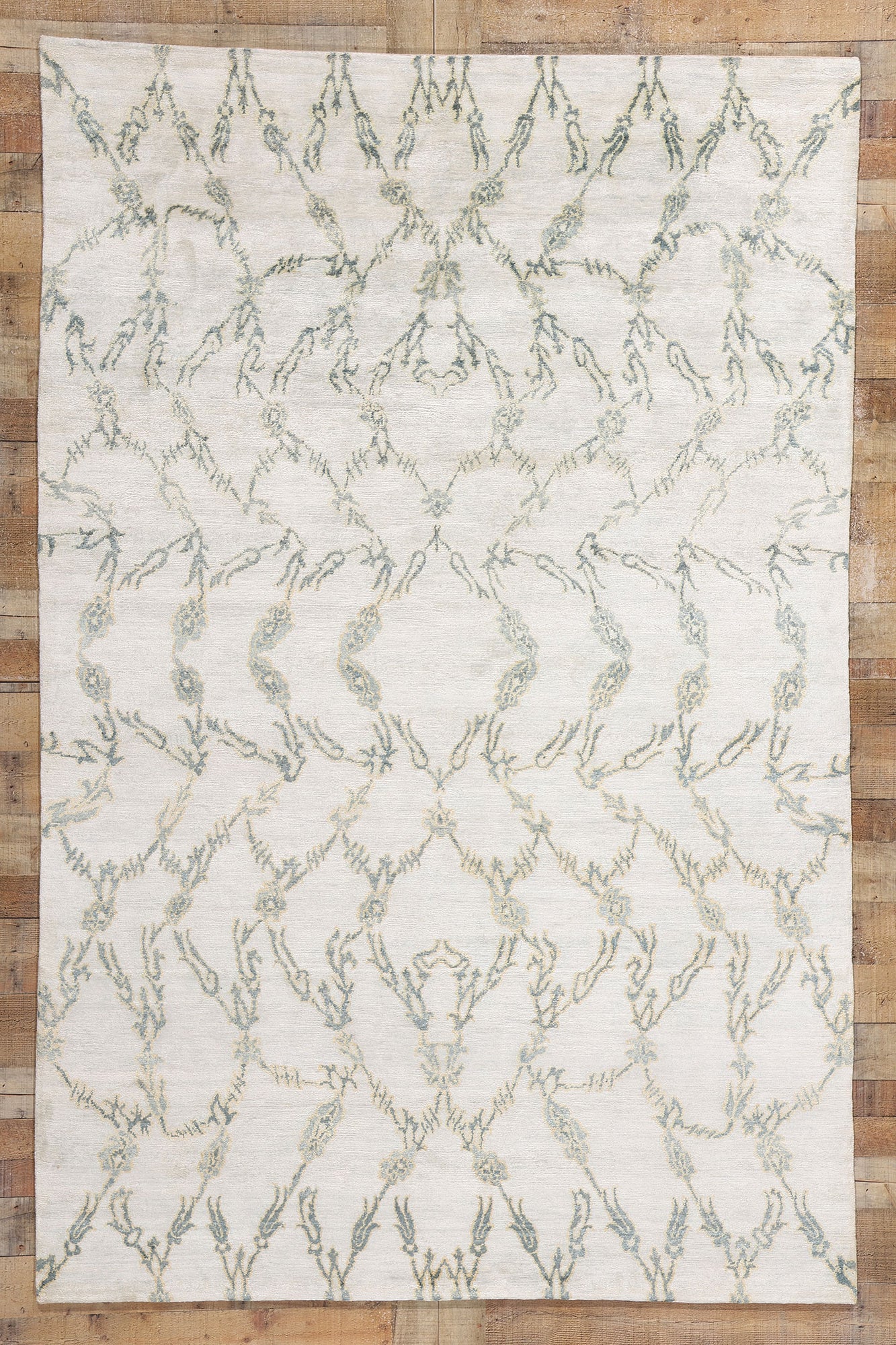 6 x 9 Whispers of Nature Organic Modern Rug 31140