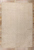 10 x 14 Neutral Vintage Modern Indian High-Low Rug 79320