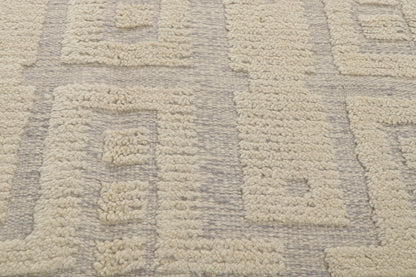 10 x 15 Transitional High-Low Rug 30509
