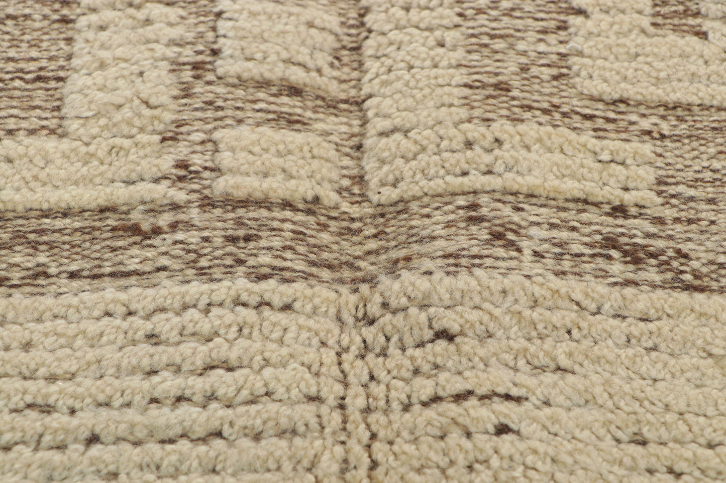 10 x 15 Transitional High-Low Rug 30511