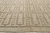 10 x 15 Transitional High-Low Rug 30511