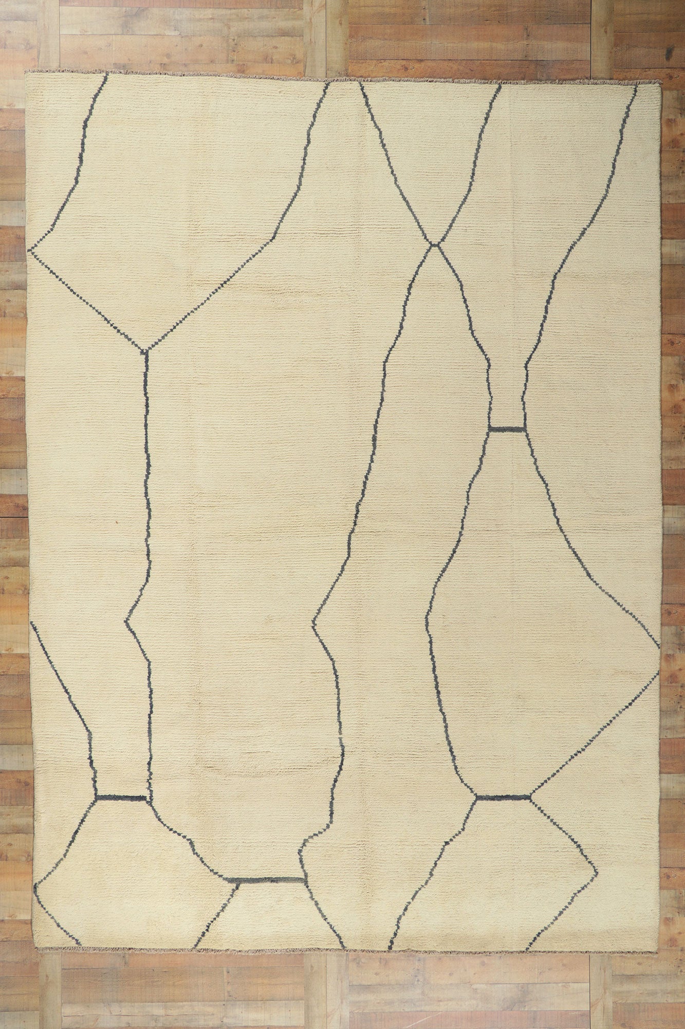 10 x 13 Organic Modern Moroccan Rug 80702