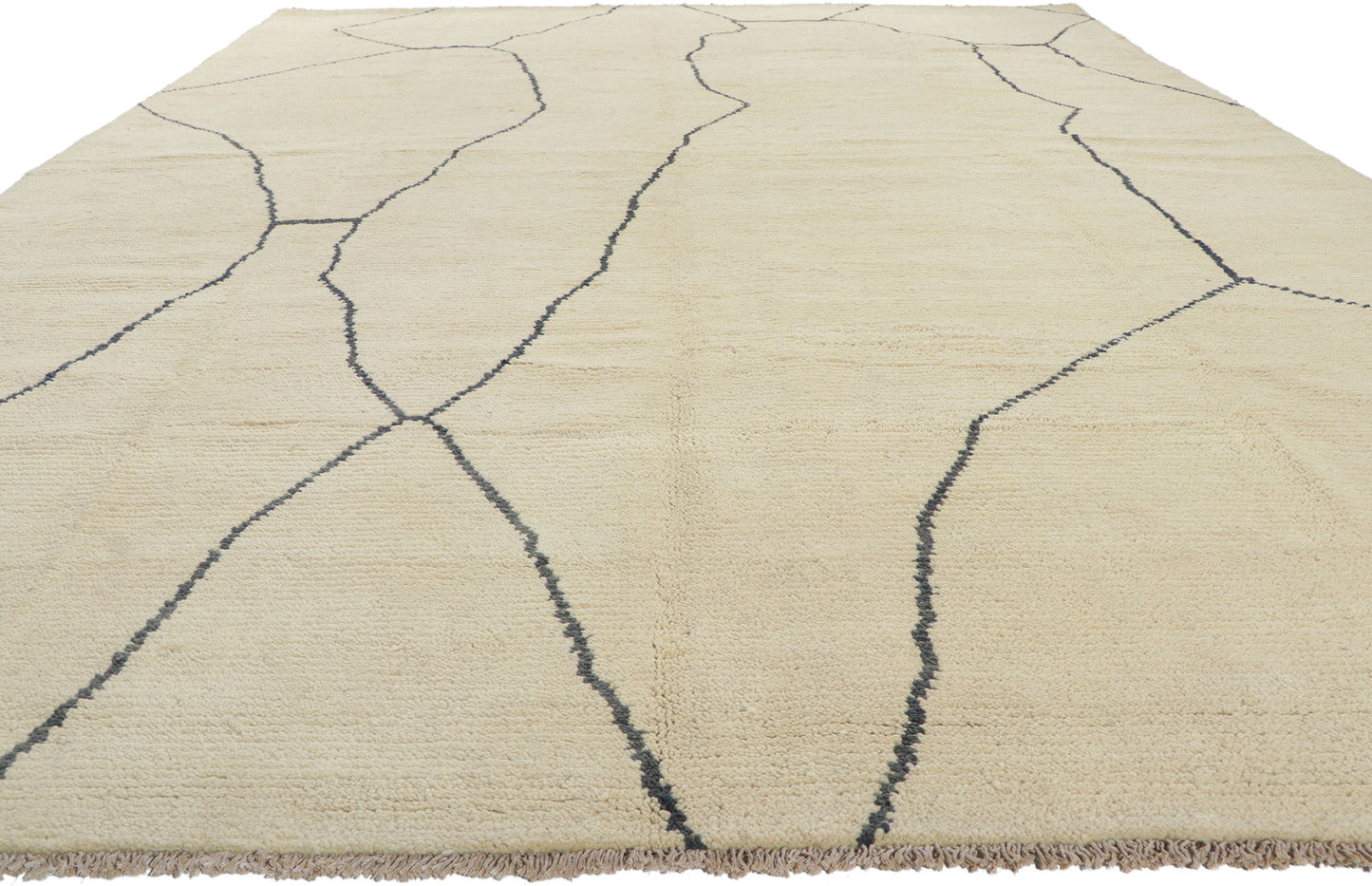 10 x 13 Organic Modern Moroccan Rug 80702
