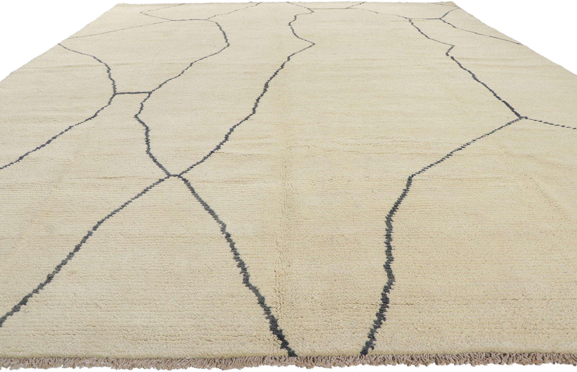 10 x 13 Organic Modern Moroccan Rug 80702