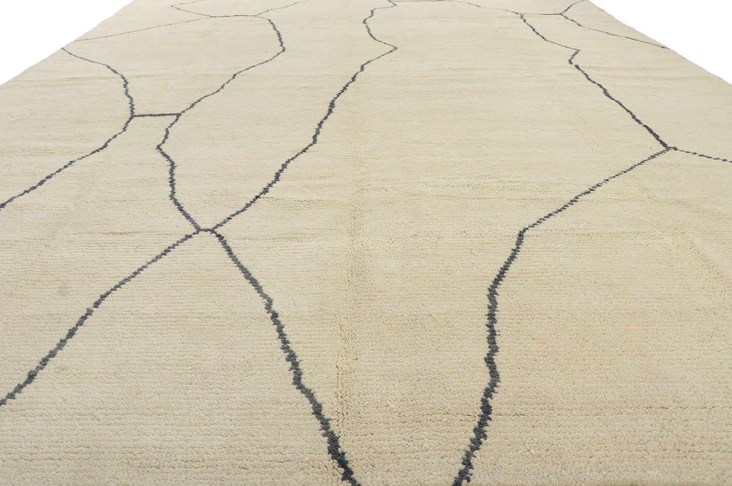 10 x 13 Organic Modern Moroccan Rug 80702